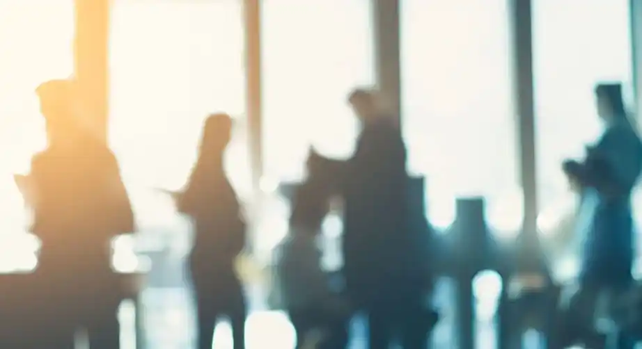 Kurumsal Yapı & Yetkinlik Tasarımı